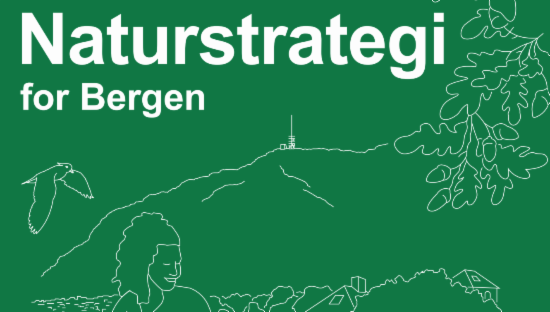 Utklipp fra forsiden til Naturstrategi for Bergen