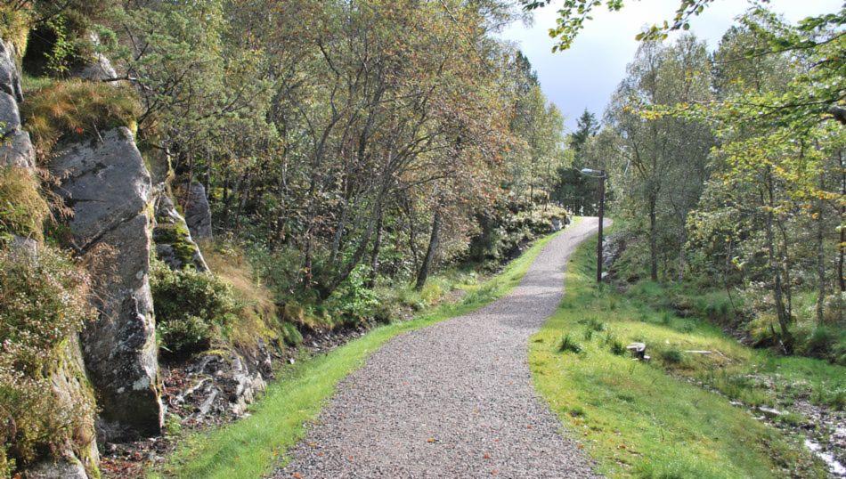 Gangvei mellom Hellenfjellet og Øyjorden. Bilde:  Kari Ingvaldsen